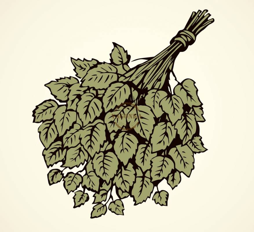 iStock-970840320.jpg