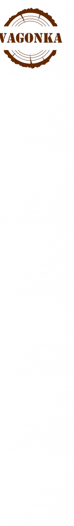 cropped-logovagonka11111-1-1-2.png