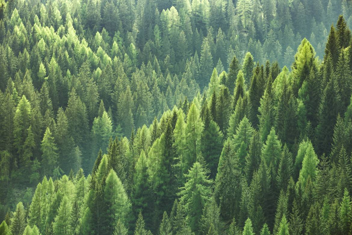 iStock-541152916.jpg