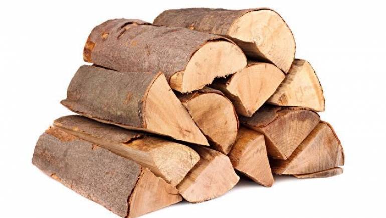 Дрова для лазні: особливості деяких порід деревини